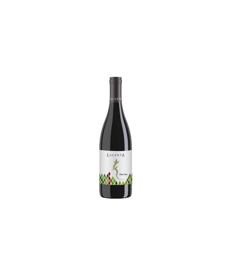 Vin Pinot Noir Lacerta 2010-LIFE STYLE TIPS SRL
